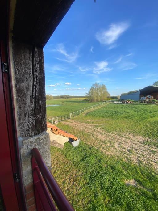 Villenouan Domaine Et Gites Lailly-en-Val Dış mekan fotoğraf